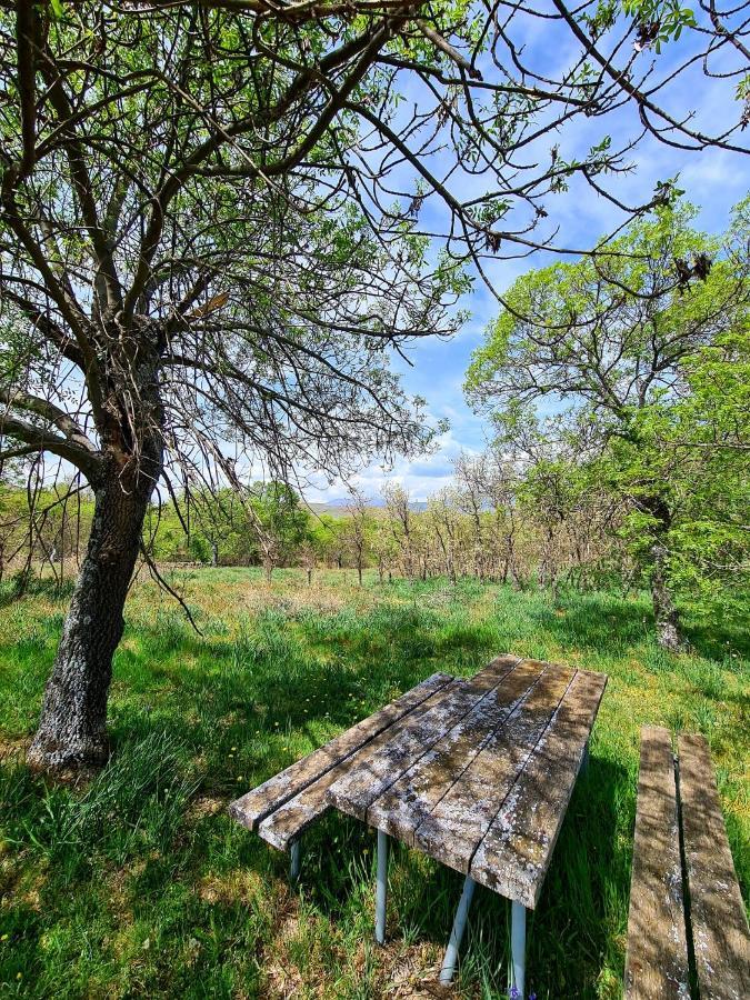 Acogedora Y Romantica Casita En La Sierra Garganta De Los Montes Exterior foto